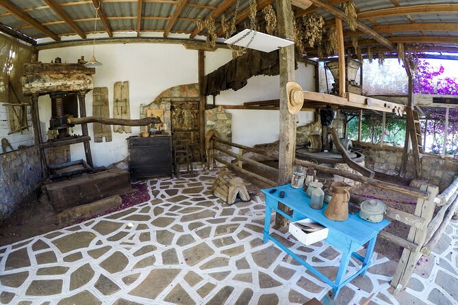 Traditional Olive Oil Making at Spiridi Olive Oil Farm - Crete - Stepping Into a 130-Year-Old Olive Oil Factory on Crete
