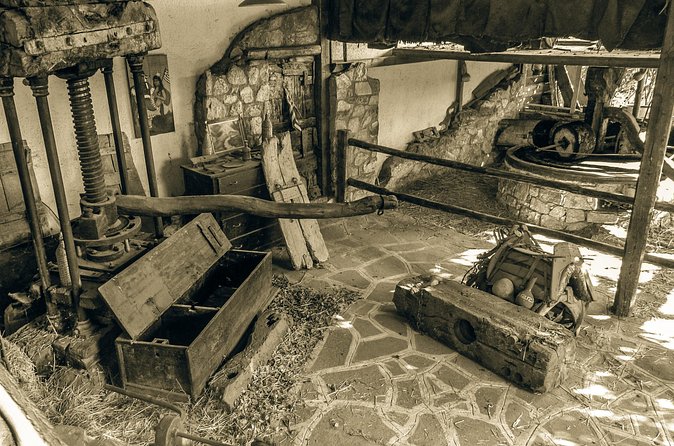 Traditional Olive Oil Making at Spiridi Olive Oil Farm - Crete - Price and Timing: Is It Good Value?