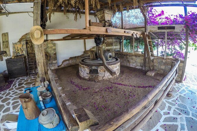Traditional Olive Oil Making at Spiridi Olive Oil Farm - Crete - From Olives to Oil: The Workshop Steps You’ll Actually Do