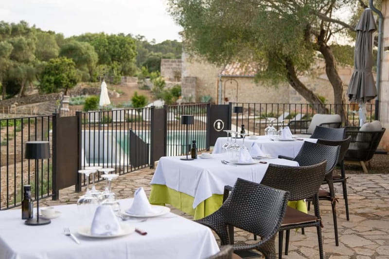 Treurer: Olive Oil Night. Gastronomic experience - Key things to know before you go