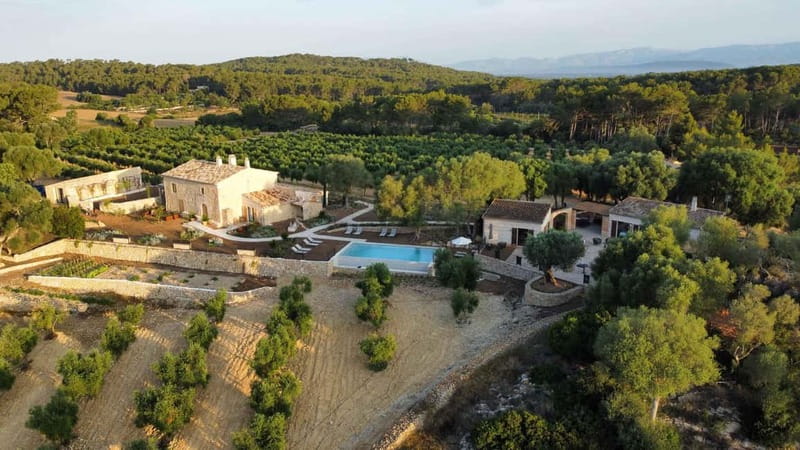 Treurer: Olive Oil Night. Gastronomic experience - The short scenic walk through the olive grove