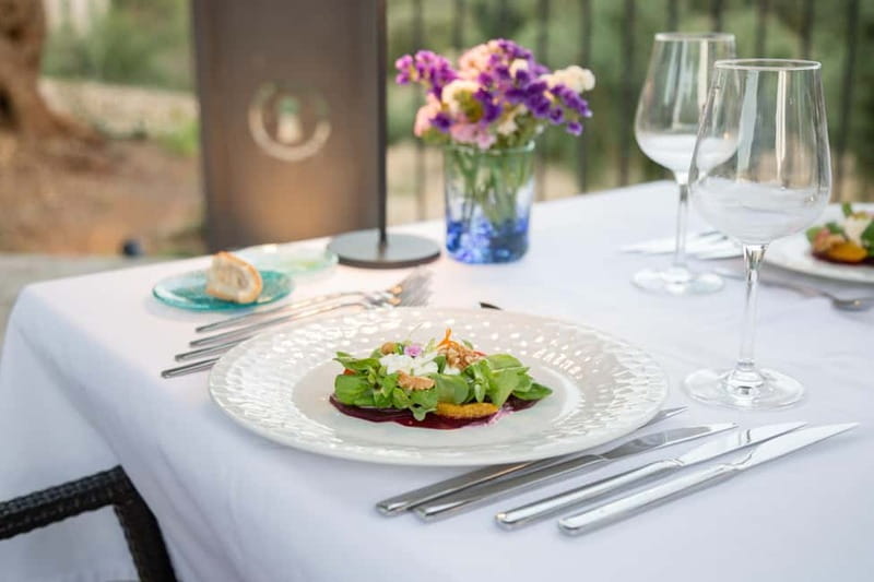 Treurer: Olive Oil Night. Gastronomic experience - Who this experience fits best (and who should skip)