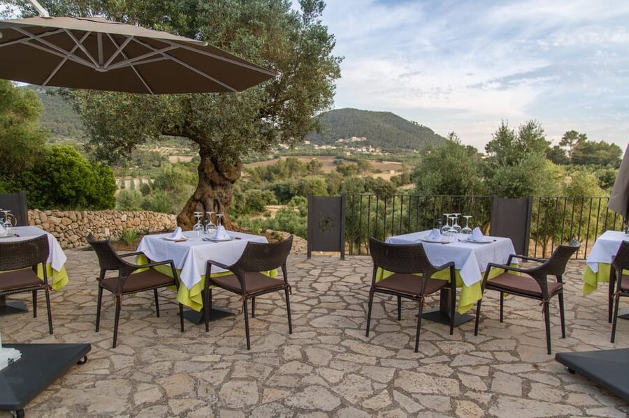 Treurer: Tapas Gourmet and Extra Virgin Olive Oil - Who this is best for (and who should skip it)