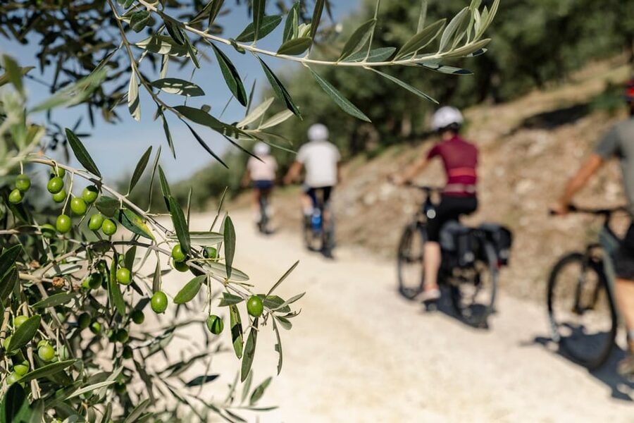 Umbria: E-Bike Rental and Fresh EV Olive Oil Tasting - Quick hits: what makes this e-bike + olive oil day work