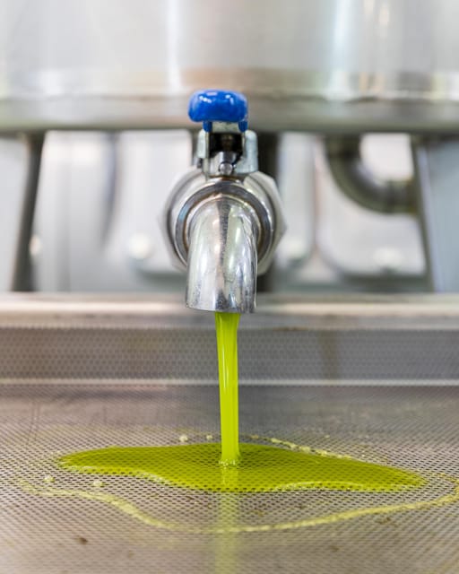 Umbria: E-Bike Rental and Fresh EV Olive Oil Tasting - Frantoio Gaudenzi: where the ride turns into real olive oil knowledge