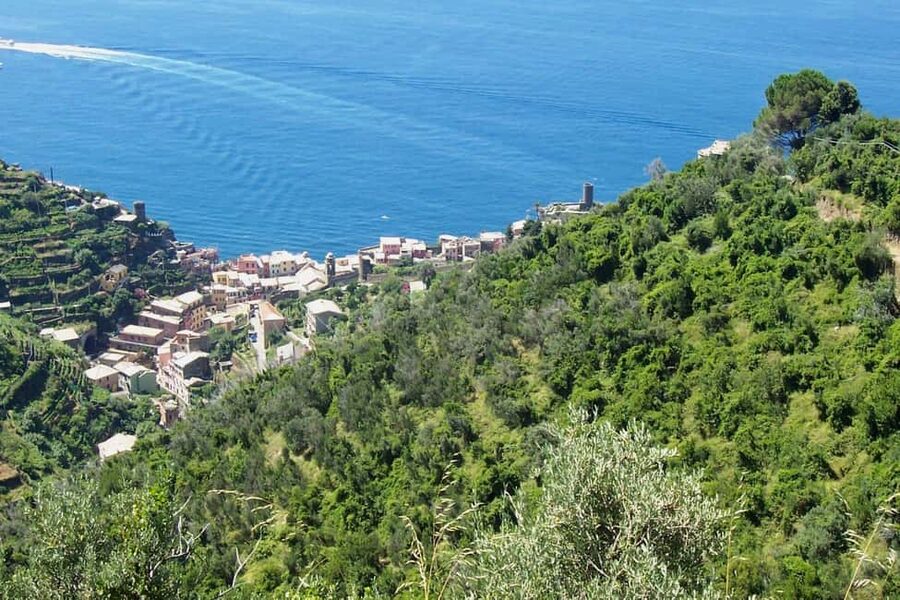 Vernazza (5 Terre): olive grove tour and oil and wine tasting - Key Points That Make This Tour Worth Your Time