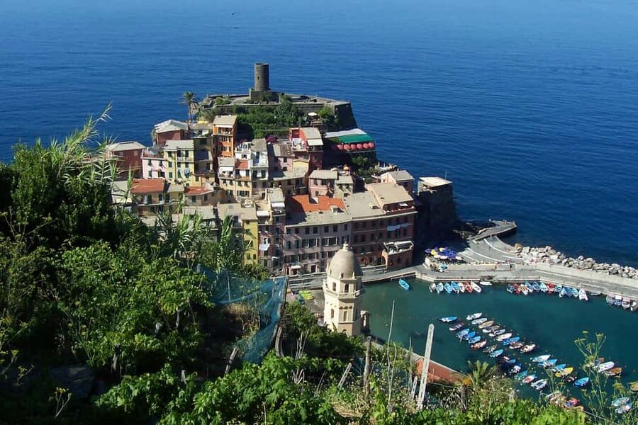 Vernazza (5 Terre): olive grove tour and oil and wine tasting - Why the Vernazza Olive Grove Route Feels More Local Than the Usual Walk