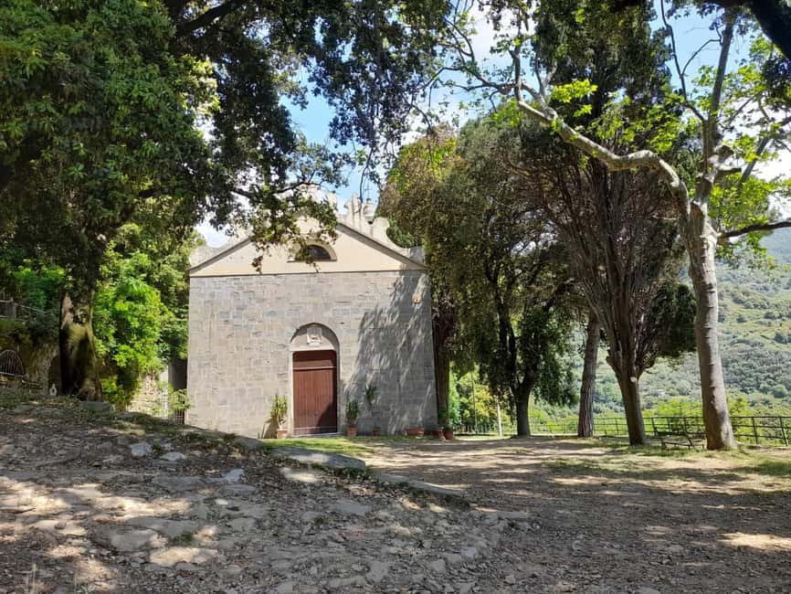 Vernazza (5 Terre): olive grove tour and oil and wine tasting - Tasting Cinque Terre Olive Oil and Wine Like You Mean It