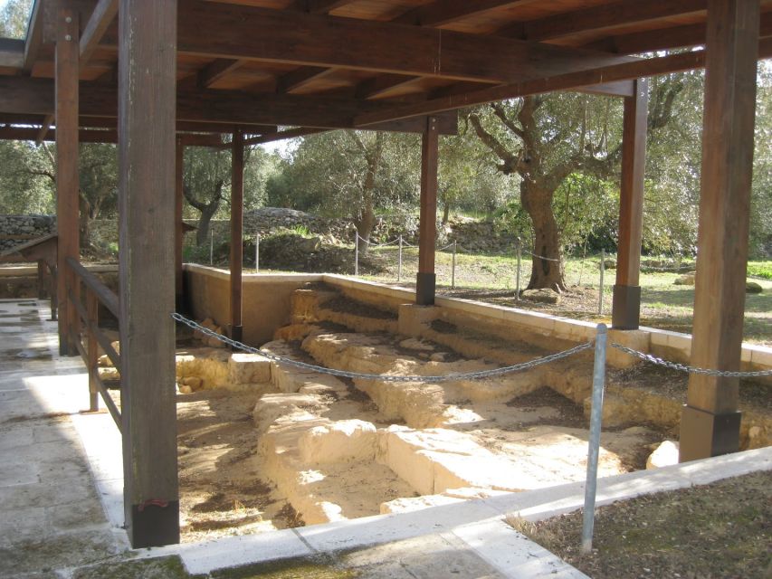Villa Castelli: Highlights Walking Tour w/ Olive Oil Tasting - Traditional olive oil factory tour: underground tanks and how preservation works
