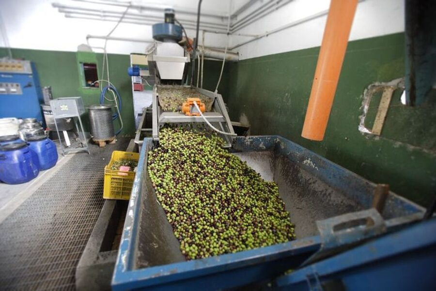 Villa Castelli: Highlights Walking Tour w/ Olive Oil Tasting - Who this tour suits best (and who might want something else)