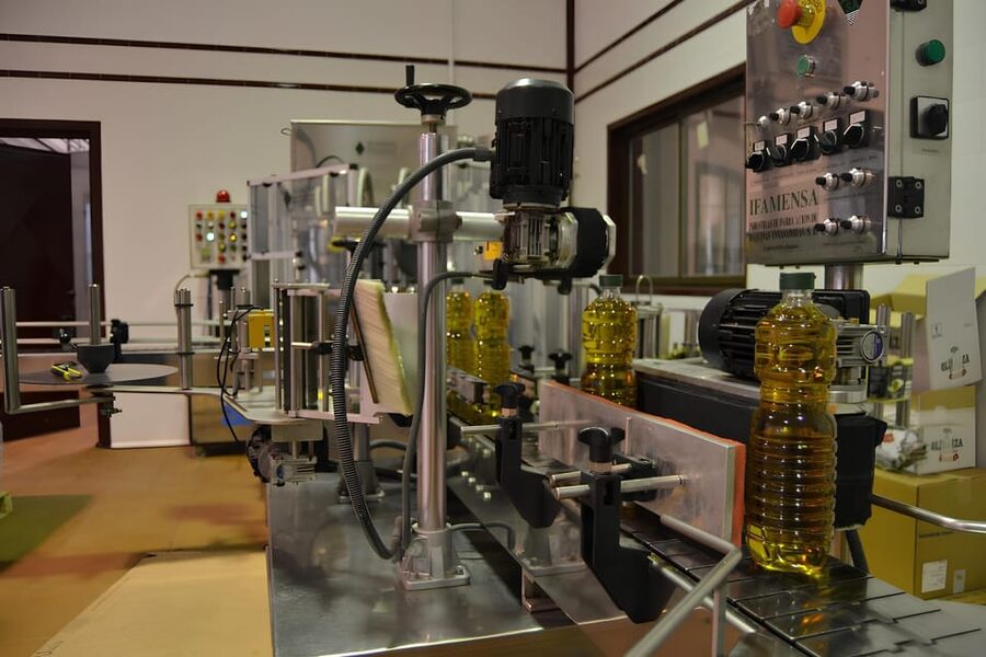 Visit an almazara + extra virgin olive oil tasting: Baeza - Cleaning and classification: why good oil starts with sorting