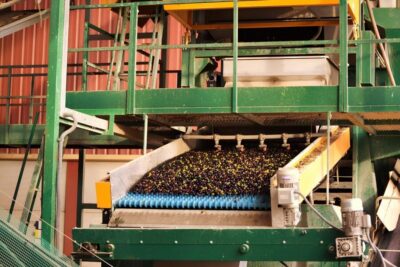 Visit an almazara + extra virgin olive oil tasting: Baeza - Entering El Álcazar: reception yard and first lessons