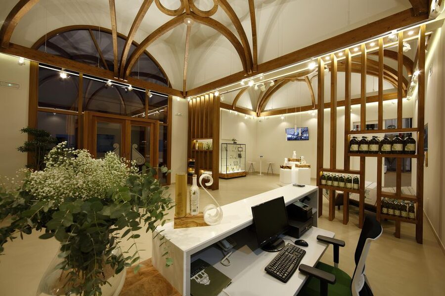 Visit an almazara + extra virgin olive oil tasting: Baeza - Storage and packaging: where production meets patience