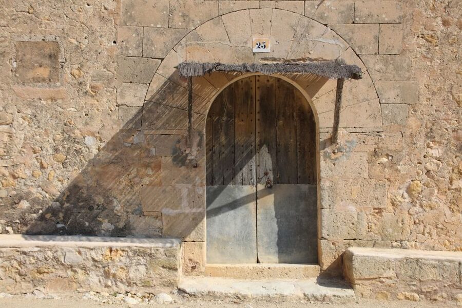 Visit of the olive grove, olive oil tasting and snack - Who should book this tour (and who might skip it)