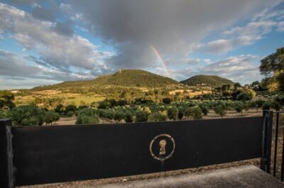 Visit of the olive grove, olive oil tasting and snack - Treuré meeting point and how the 2 hours flow
