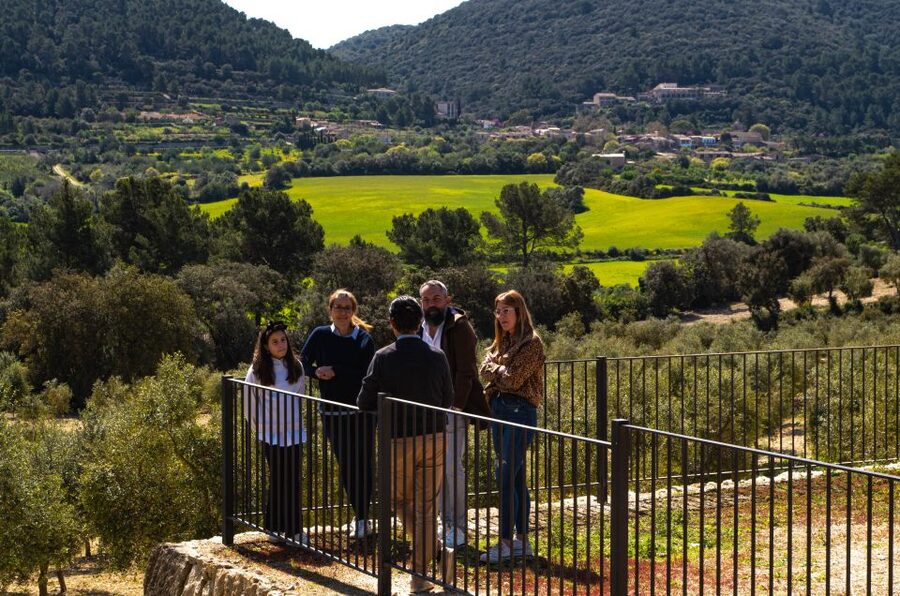 Visit of the olive grove, olive oil tasting and snack - The class and tasting: how to tell extra virgin from the rest