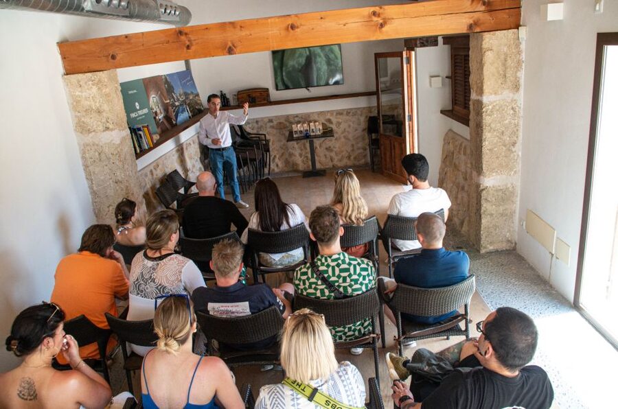 Visit of the olive grove, olive oil tasting and snack - Price and value: is $58 fair for a Mallorca EVOO tour?