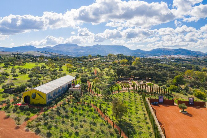 Visit Oil Mill Museum and Olive Oil Tasting in Ronda - Key things to know before you go