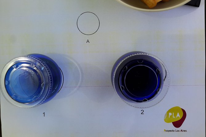 Visit olive grove centenary with oil tasting course - Timing, group size, and practical tips for a 10:00 am start
