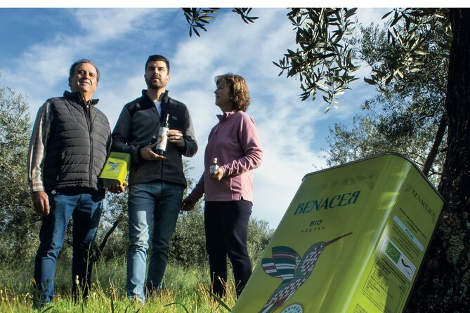 Visit to Family Ecological Olive Tree and Olive Oil Tasting - Snacks, Coffee, and Water: Small Comforts That Make a 90-Minute Tour Easier