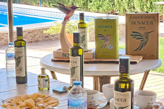 Visit to Family Ecological Olive Tree and Olive Oil Tasting - Entering the Organic Olive Grove: What Sustainable Cultivation Looks Like