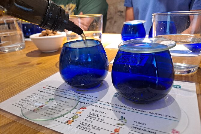 Visit to olive grove and olive mill with oil tasting and tasting - Inside the olive mill: grinding, process, and quality factors