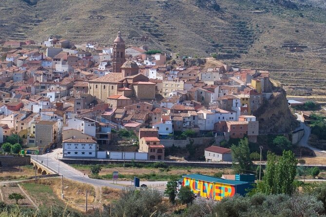 Visit to olive grove and olive mill with oil tasting and tasting - Who this tour suits best in Aragón