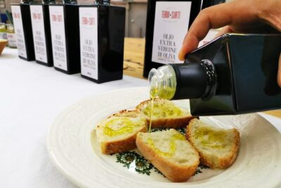Visit to the olive grove, oil tasting and lunch at the farm - Production explained: how olives turn into oil (and why it matters)
