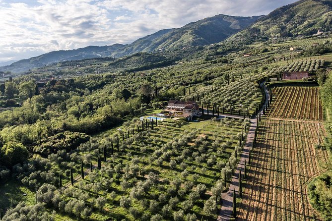 Wine and olive oil tasting & farm tour - Key things I’d put on your radar