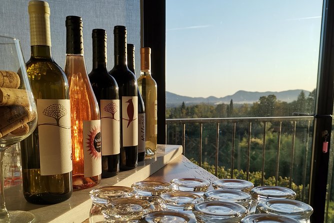 Wine and olive oil tasting & farm tour - In the Panoramic Room: Olive Oil and 5 Wines