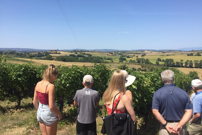 Wine and olive oil tastings with the locals - Key points you should care about