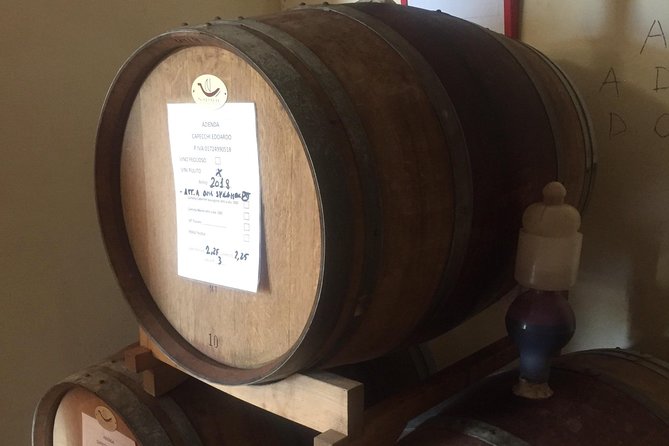 Wine and olive oil tastings with the locals - Family vineyards and the inside look at production