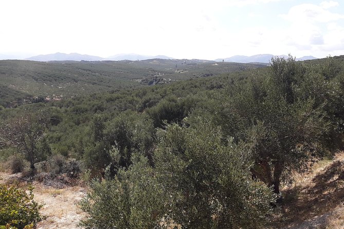 Wine, Beer, Olive Oil Tasting Private Tour (price per group of 6) - A private west Crete tasting day built for small groups
