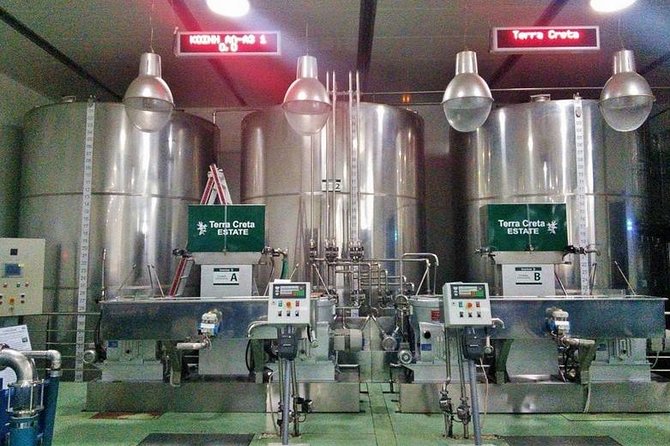Wine, Beer, Olive Oil Tasting Private Tour (price per group of 6) - Vouves 5000-year olive tree: the short stop that refreshes the day