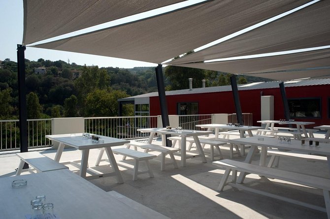 Wine, Beer, Olive Oil Tasting Private Tour (price per group of 6) - Price and value for a group of 6 in a private van
