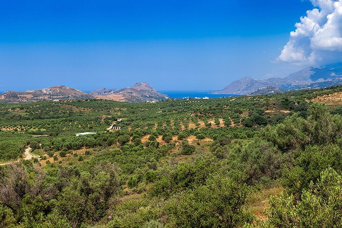 Wine, Beer, Olive Oil Tasting Private Tour (price per group of 6) - Timing, weather, and season: when this works best