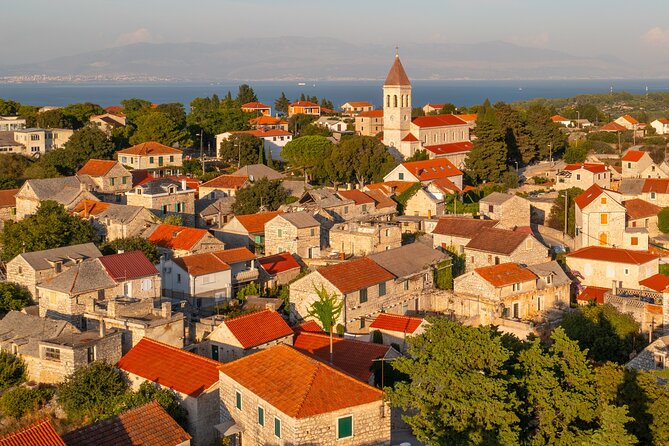 Wine, Honey & Olive Oil of Solta Island - Tasting Tour - Who This Tour Suits Best (and Who Might Prefer Something Else)
