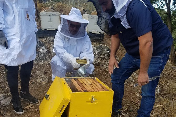 Wine, Olive Oil, and Honey Tour with Winemaker - Key Points Worth Booking