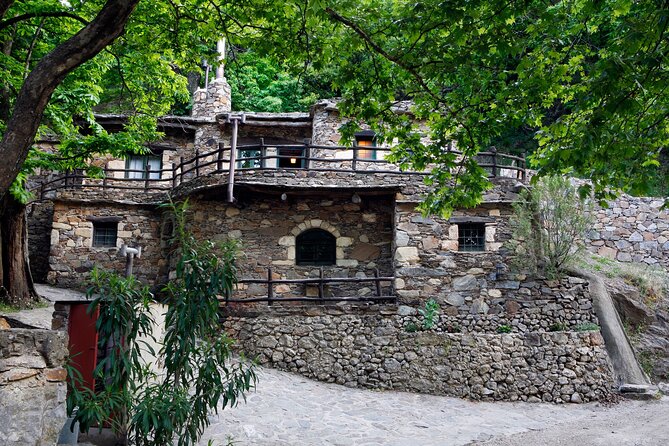 Wine & Olive Oil Tour with Lunch at Milia Mountain Retreat - The real appeal: a Chania olive-oil day that mixes food, terrain, and agrotourism