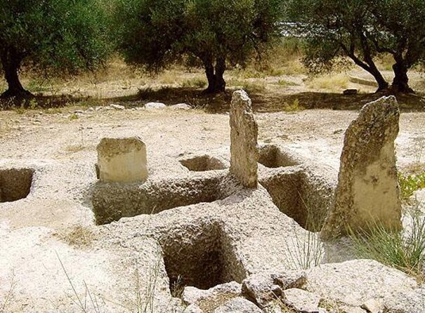 Wine Raki Olive Oil Tasting and Pottery - Private Tour - Key things that make this tour worth your time