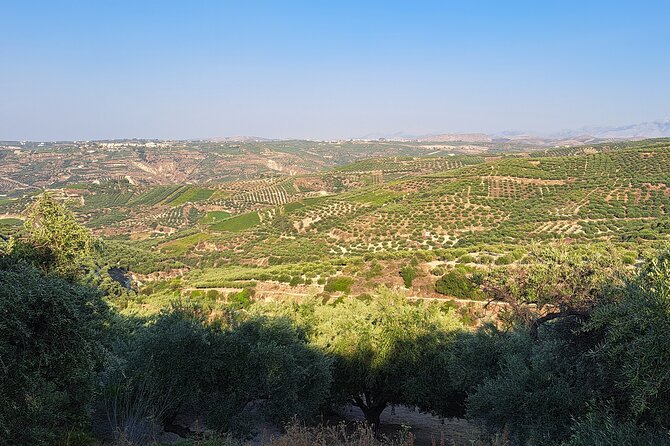 Wine Raki Olive Oil Tasting and Pottery - Private Tour - Katalagari village walk: traditional homes, then an optional taverna lunch