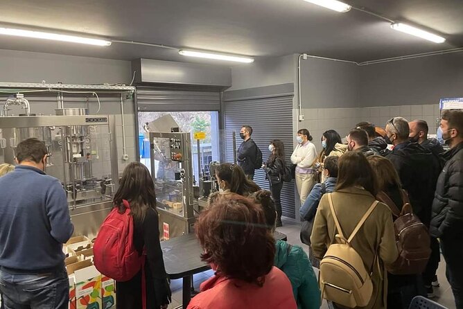 Wine Raki Olive Oil Tasting and Pottery - Private Tour - Gouves olive oil: from production steps to a proper tasting