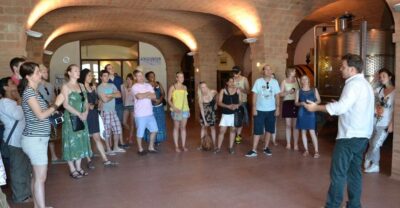 Wine tasting tour with olive oil and salami - Vineyard hills and a short production look (with time to ask)