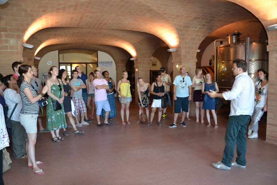 Wine tasting tour with olive oil and salami - Should you book this Emilia-Romagna wine, olive oil, and salami tour?
