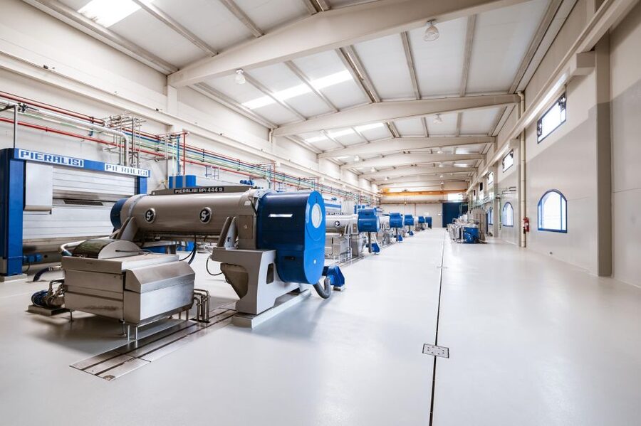 XXI Century Olive Oil Mill Tour - Key points before you go