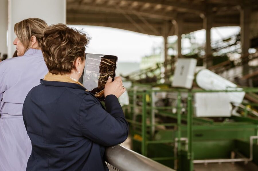 XXI Century Olive Oil Mill Tour - PICUALIA in Andalusia: the 21st-century mill concept that actually makes sense