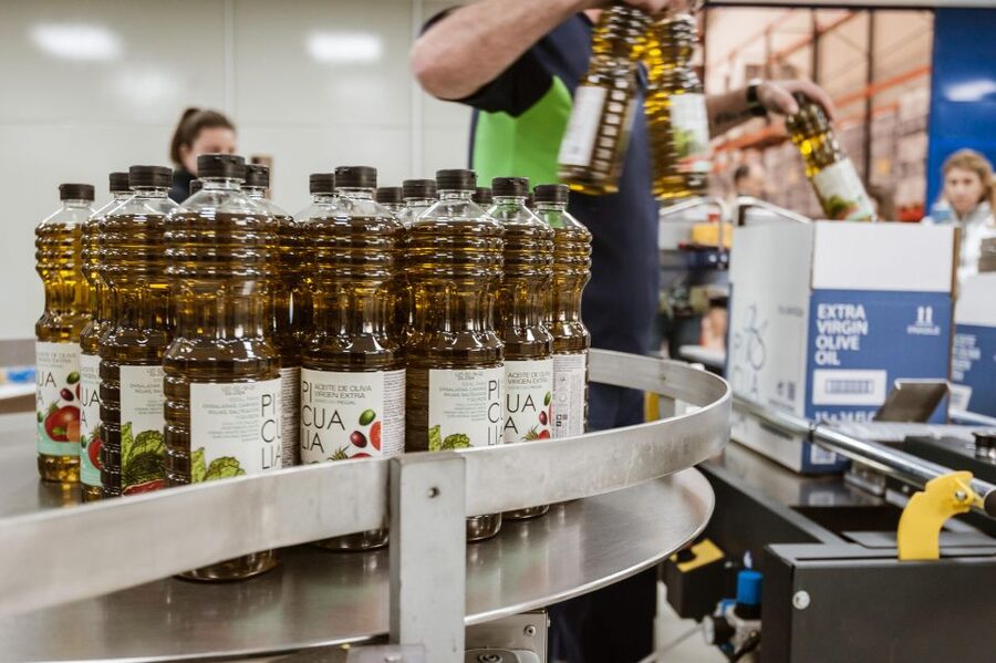 XXI Century Olive Oil Mill Tour - Inside the process: how physical-mechanical steps support quality