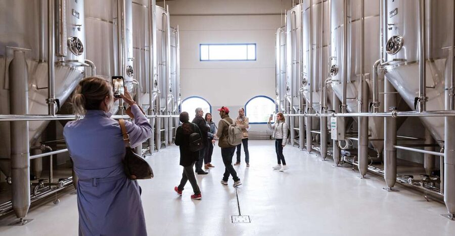 XXI Century Olive Oil Mill Tour - Price and value: why $9 for 45 minutes can be a smart buy