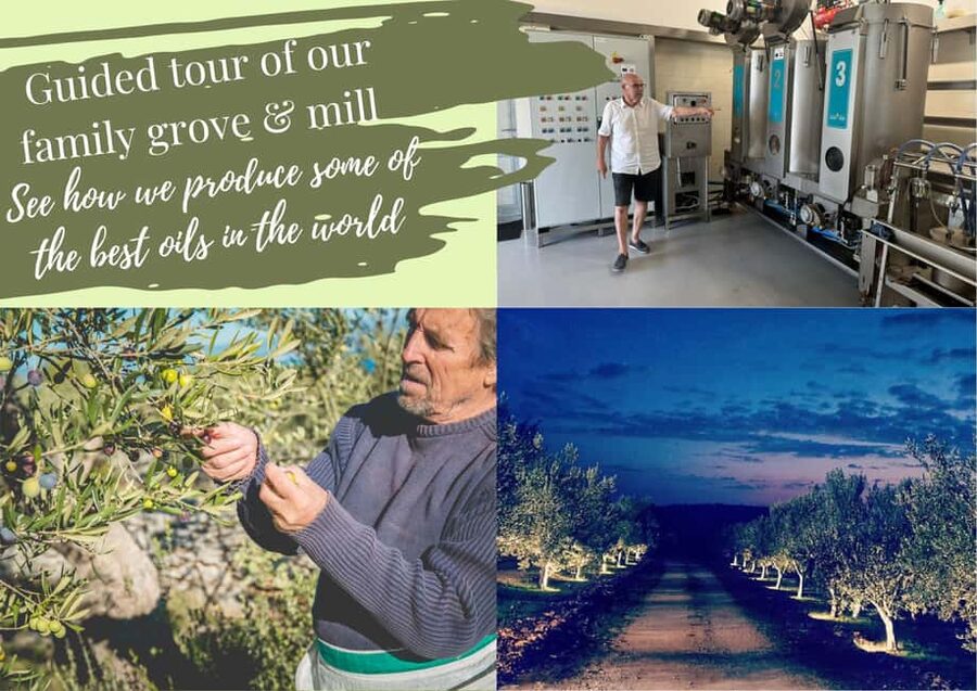 Zadar, Šibenik: olive oil, wine & food tasting, Self Drive - Timing and self-drive reality near Zadar and Šibenik